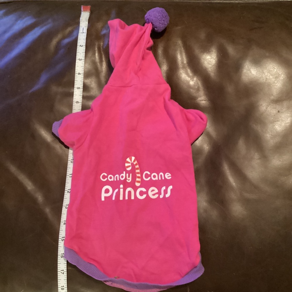 Bundle 2 for $10 - dog candy cane princess